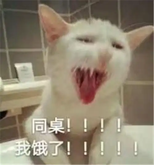晚上睡觉的时候闹出的那些笑话,第一个心凉了
