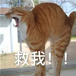 王者荣耀动物撕心裂肺表情包猥琐发育别浪
