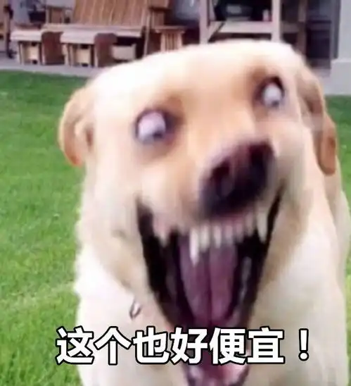 这些表情包,像不像双十一前后的你
