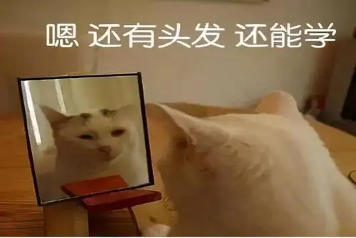 美术生考川美,真的很困难吗
