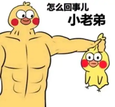 哔哩哔哩专栏
