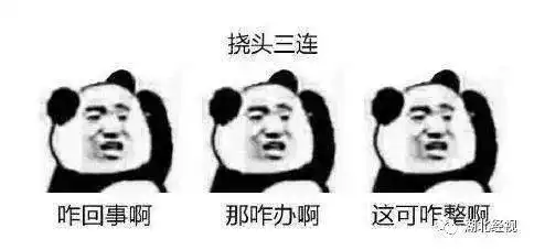 微信拍一拍,可以撤回了还有这些功能更新了但有个重要前提...睡前嘿嘿嘿
