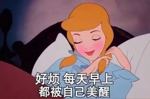 智慧树表情包你和我