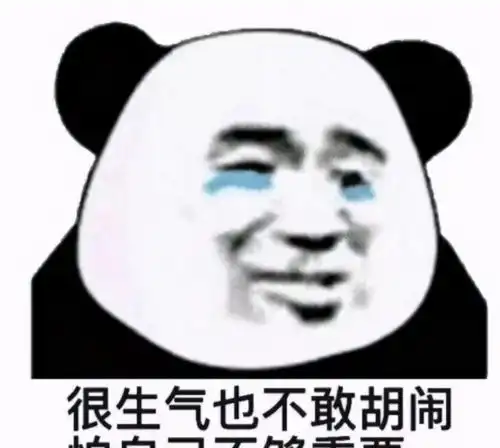 狗狗脑袋被门挤了是什么体验像极了骆驼,哈哈

