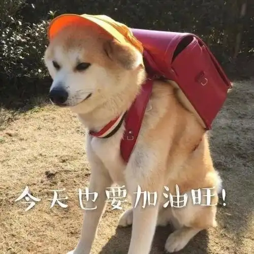 学员访谈陈康妹不断努力,与更好的自己相遇
