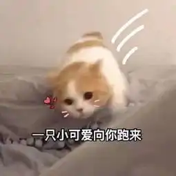 娱乐圈居然有颜值零差评,腿长到伸腿就能够到房顶的女明星
