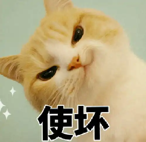 养猫容易买猫难,购买时这5句话不要讲,不然吃大亏
