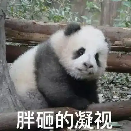 熊猫头是什么,比不上这些熊猫表情来的可爱

