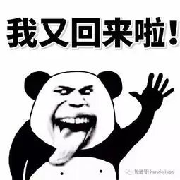 辞了杭州的工作来新加坡,我感受到了这些差异
