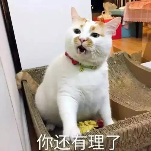 婆婆扔了狗,儿媳打胎离婚papi酱这张照片狠狠打了所有人的脸
