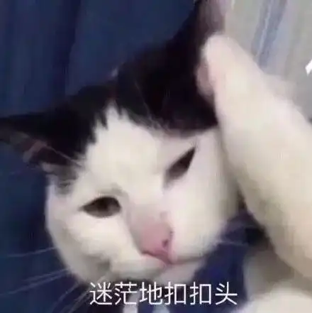 表情包我知道了

