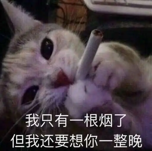 热门撩妹表情包每十秒想你一次,一天想你8640次
