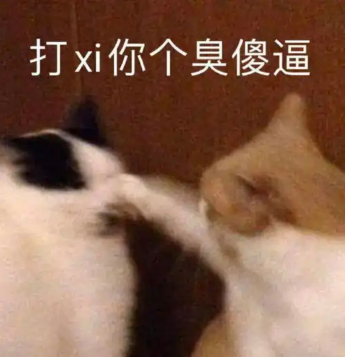 可爱动物表情包

