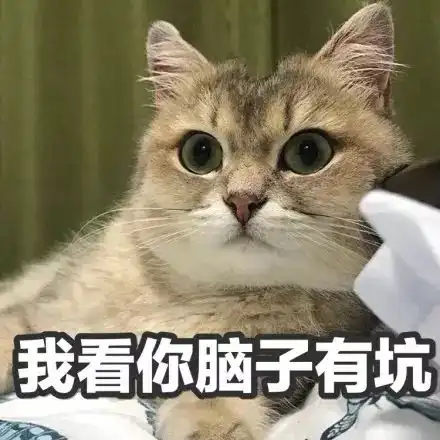 橘猫非常认真的给同伴舔毛,却没想到给脑袋舔出一坑...

