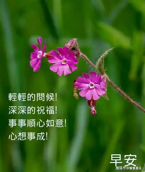 2021年6月13日星期天清晨早上好问候祝福动态表情图片
