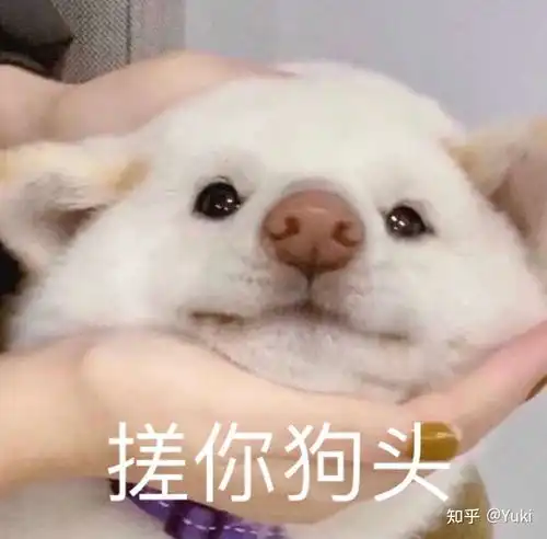 山东师范大学学科化学考研经验分享
