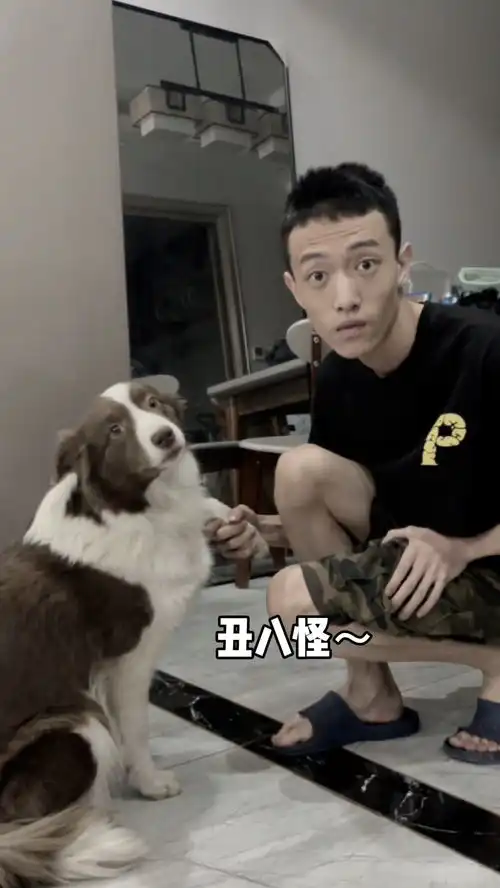 每天看着俺家狗子动作表情都跟小王一样一样的
