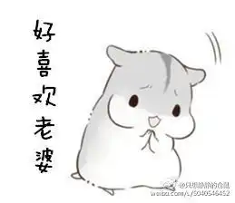 求小仓鼠老婆系列表情包,类似这种