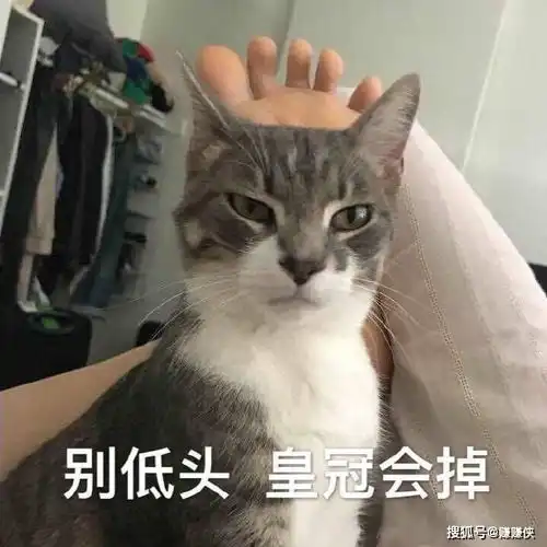 熊猫头表情包图片不了不了,这个真的伤身体
