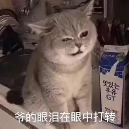 那个被全网封杀的组织,教我的4件事,太牛了
