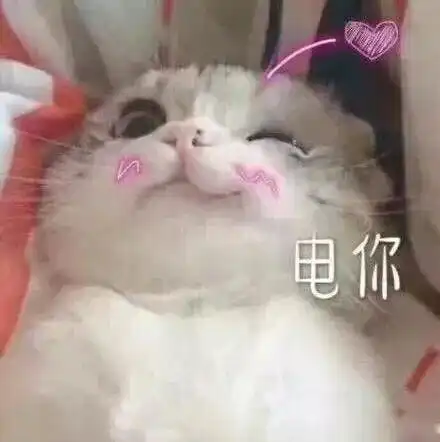 女士优先是不是性别歧视