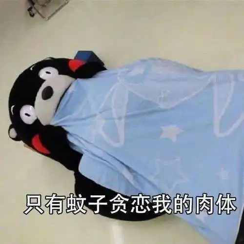 夏天统一的快乐来源
