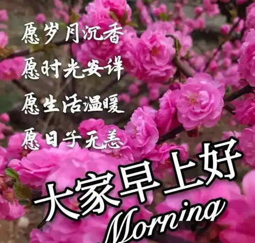 中老年表情包,早安大吉大利,暖暖的祝福送给你
