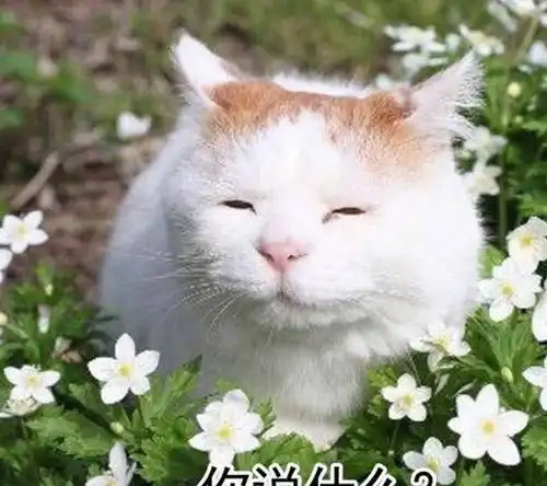 开心一刻去学校洗澡,洗澡水那叫一个烫
