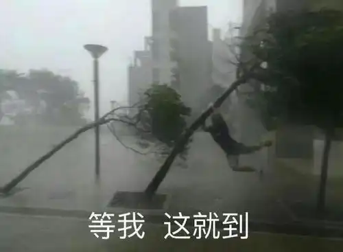 沙雕表情包毕竟我的智力水平你也知道
