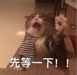 解锁学习新方式娱乐学习两不误,再也不怕老妈唠叨啦
