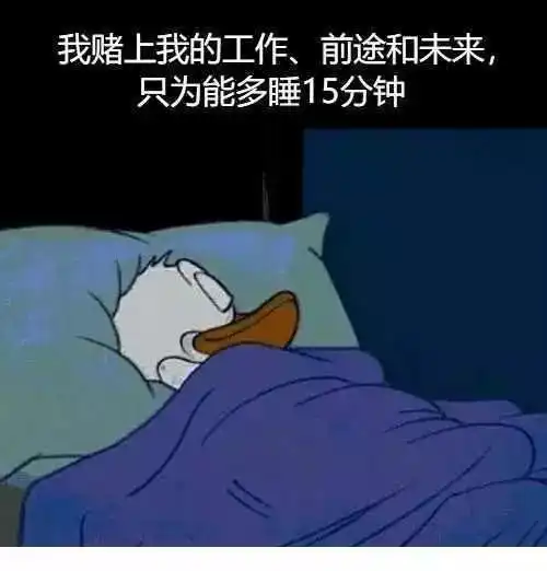 又到一周快乐时
