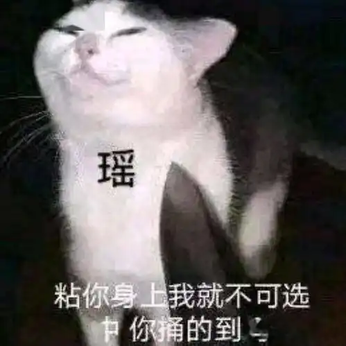 王者荣耀猫狗表情包
