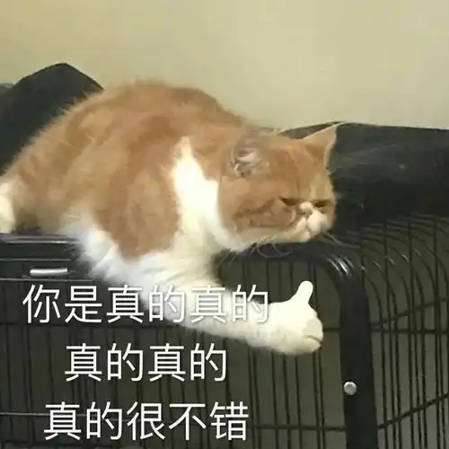 考研1v1咨询考研必备表情包一套在手,考研聊天群从此横着走
