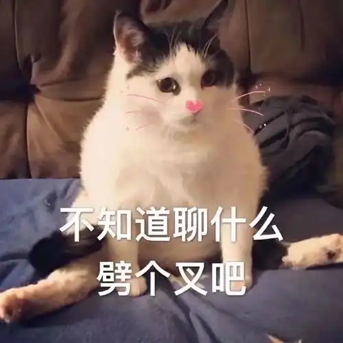录舞蹈视频上百幅画闯关
