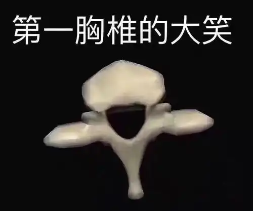育儿
