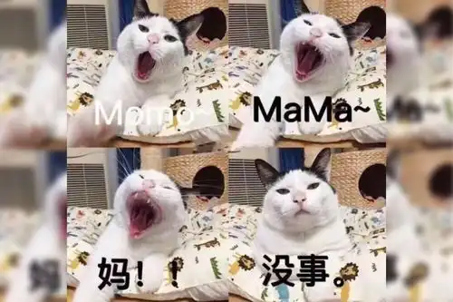 千万不要随便给爸妈发表情包
