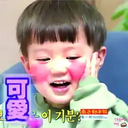 看电视毁人生之2015年度表情包使用指南