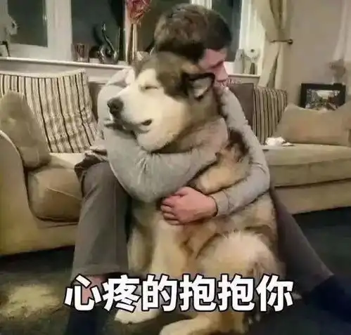 揭阳人,湿冷搭着春运快车明天前来报到至于春节天气
