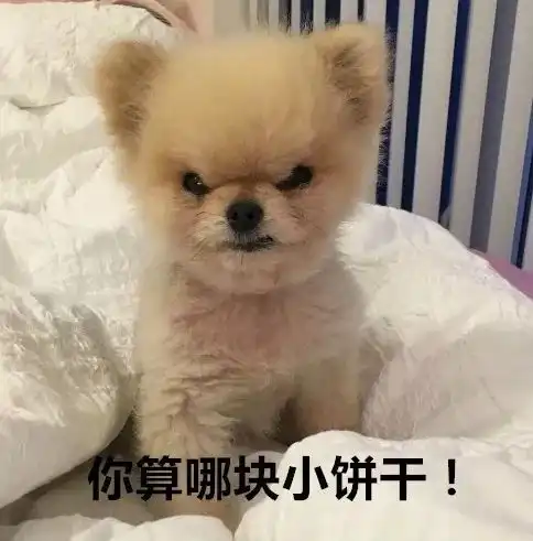 新车被女友刮了,男子发帖想让她赔,没想到女友出现了...

