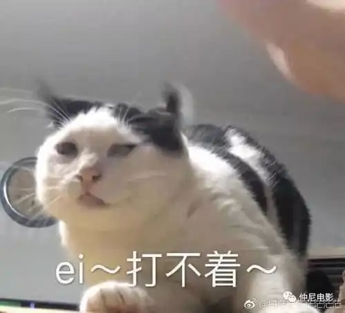 这部新国剧怕是有毒吧
