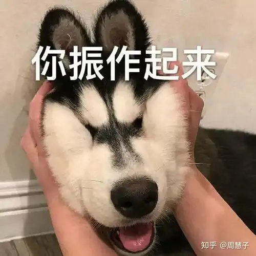 26岁以后只能靠相亲来告别单身吗

