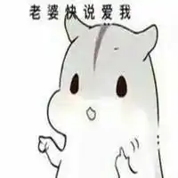 老婆表情包图片大全微信头像图片大全
