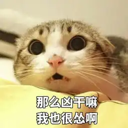 摸头表情包图片猫咪