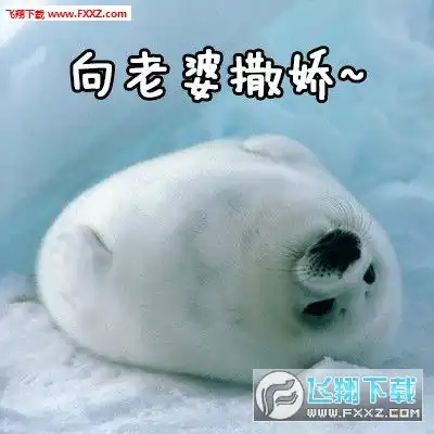 老婆版小海豹卡哇伊表情包下载老婆版小海豹可爱高清版无水印版下载飞翔下载
