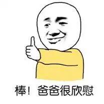 小孩的重疾险种,新华的健康无忧c款如何大神帮我分析下
