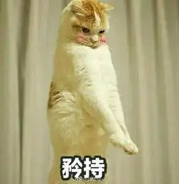 微信头像会影响第一印象吗
