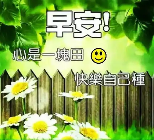 早上好祝福语大全2018
