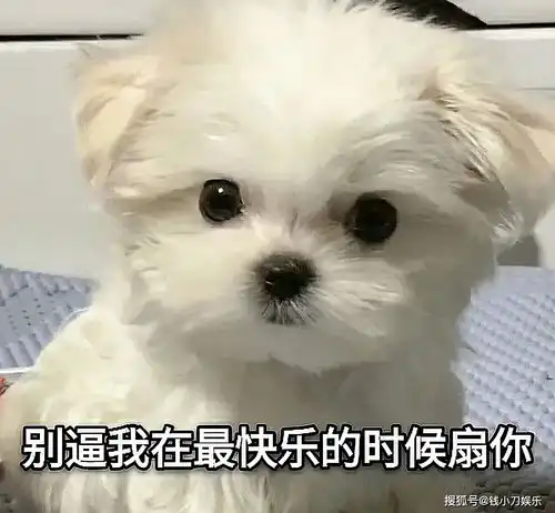 某些编剧们,求求你们,做个人吧
