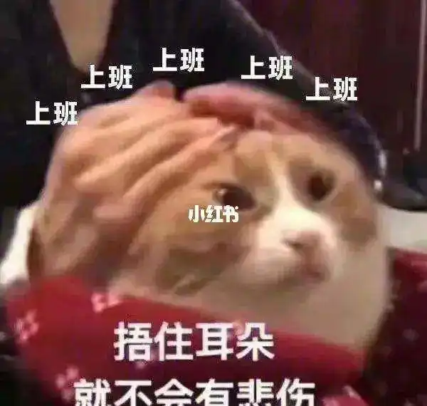刚刚发布大雪暴雪今夜来袭明天,连云港人需要提前一小时出门