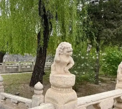 沙雕网友石狮子表情包素材图鉴大赏,哈哈哈好像有那个大病
